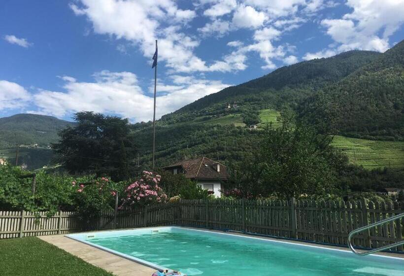 اتاق استاندارد با بالکن, Weingut Zundlhof