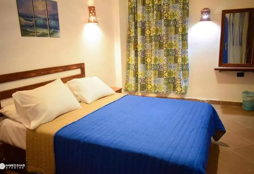 اتاق لوکس, Sea Horse Hotel Dahab