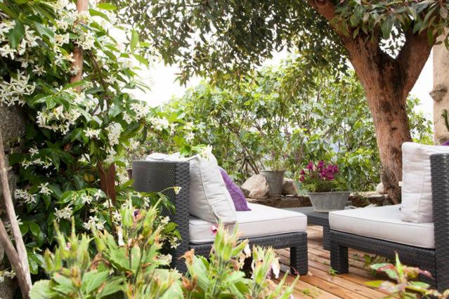 Номер Стандарт с Террасой, Chez Caro