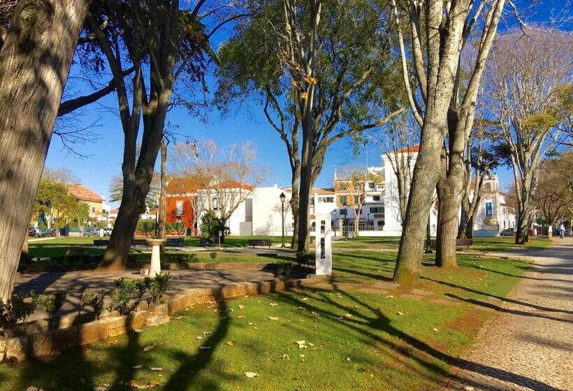 חדר דלוקס, Ninho Salino