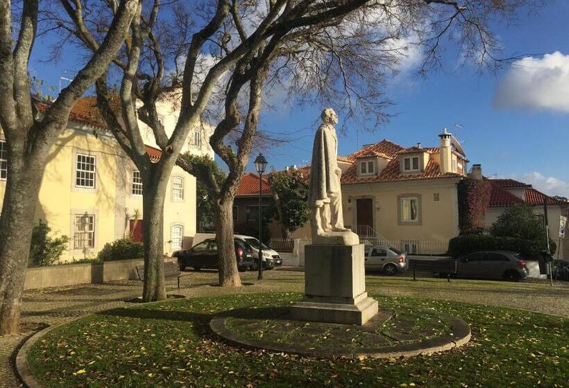 חדר סטודיו סטנדרד, Ninho Salino