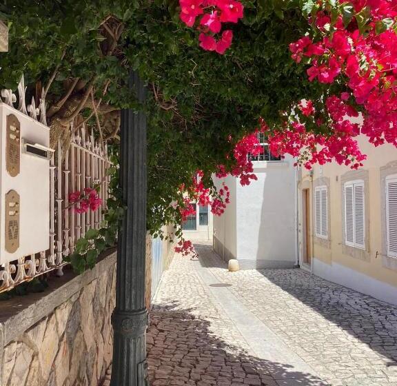 חדר סטודיו סטנדרד, Ninho Salino