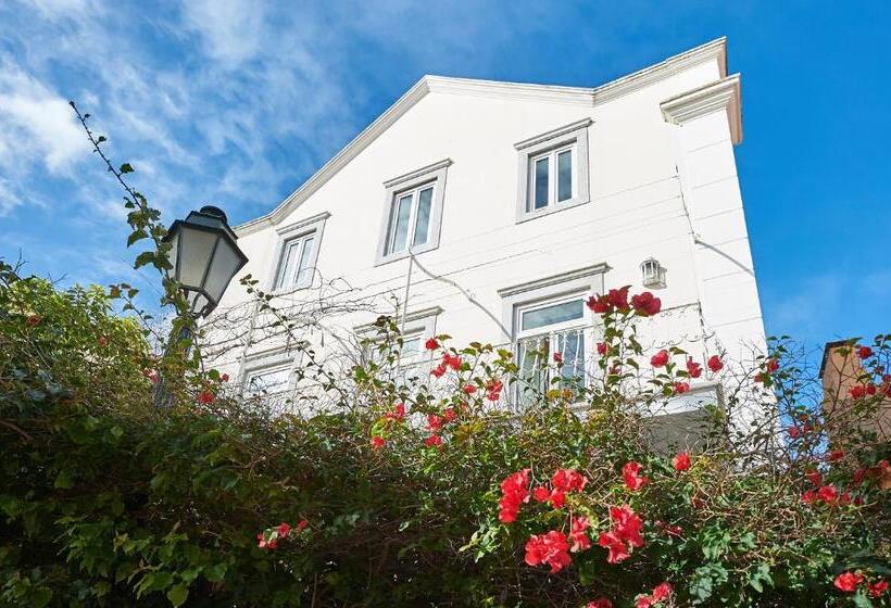 침실 1개 발코니 아파트, Ninho Salino