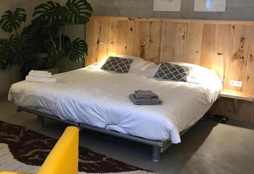 اتاق استاندارد با تخت بزرگ, Mooij Bed En Breakfast