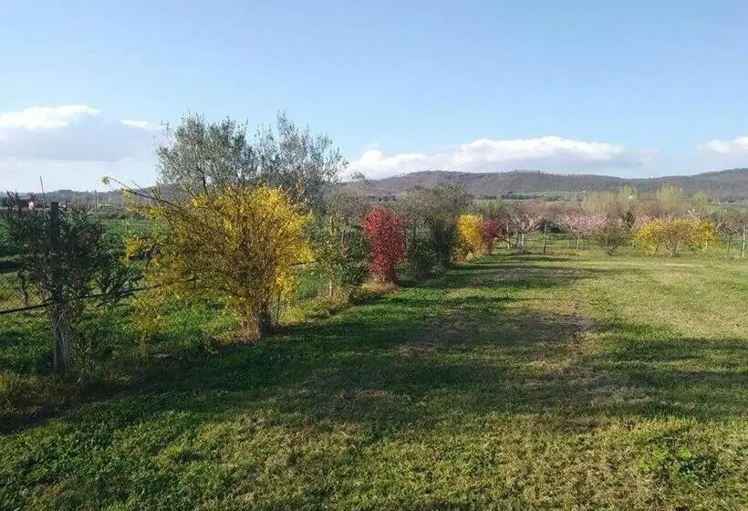 اتاق استاندارد با تخت بزرگ, La Fraschetta
