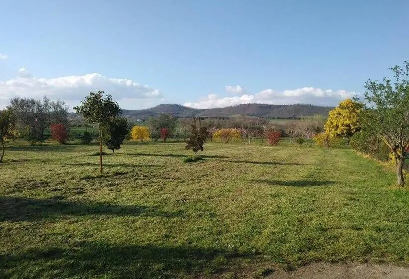 اتاق استاندارد, La Fraschetta