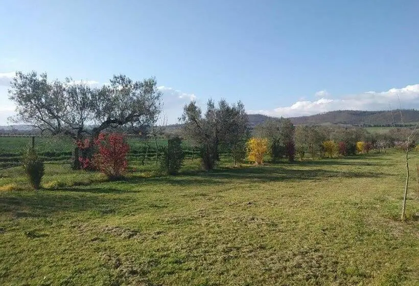 اتاق استاندارد, La Fraschetta