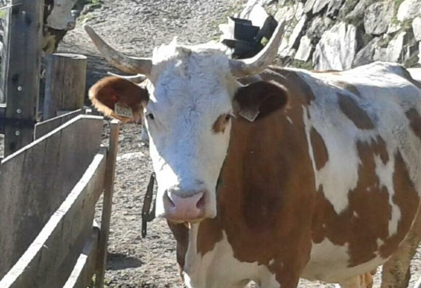 آپارتمان 3 خوابه, Obertimmeltaler