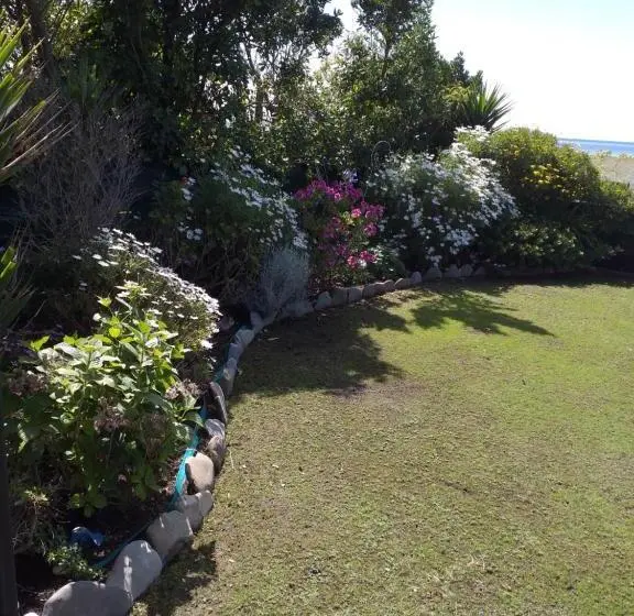 デラックスルーム, Rarangi Seaview On The Beach B&b
