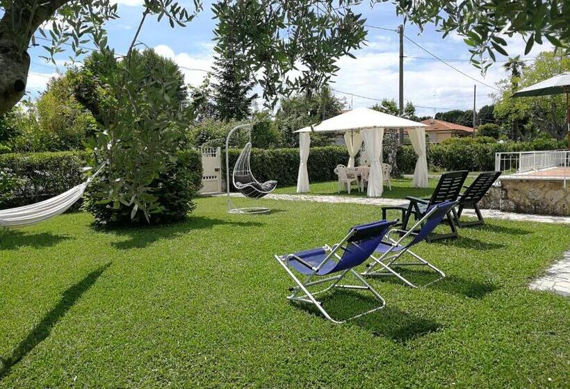 デラックスルーム, La Mimosa Chic