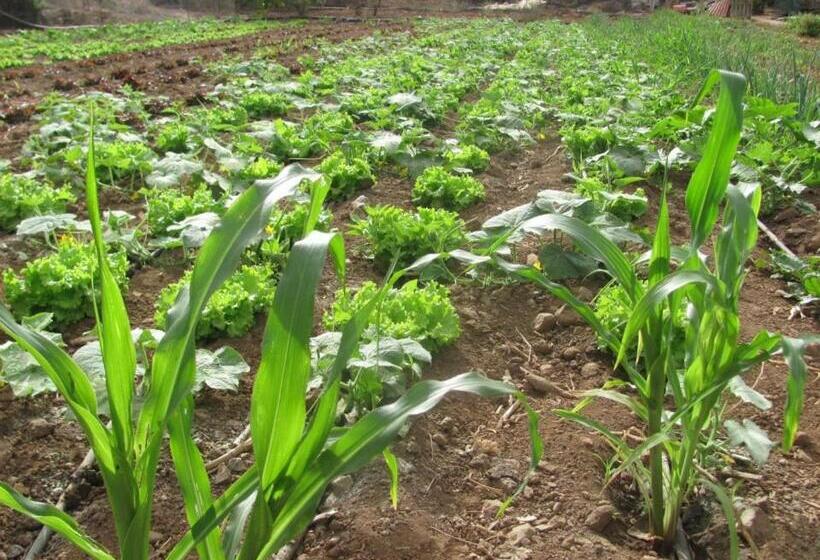 Дом 2 Спальни, Casa Rural Finca Las Dulces