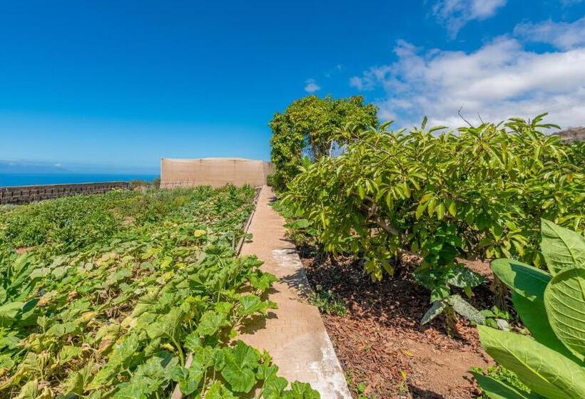 Студия Стандарт, Casa Rural Finca Las Dulces