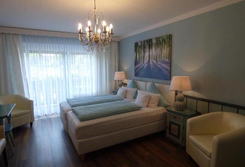 חדר סטנדרט עם מרפסת, Engelhof