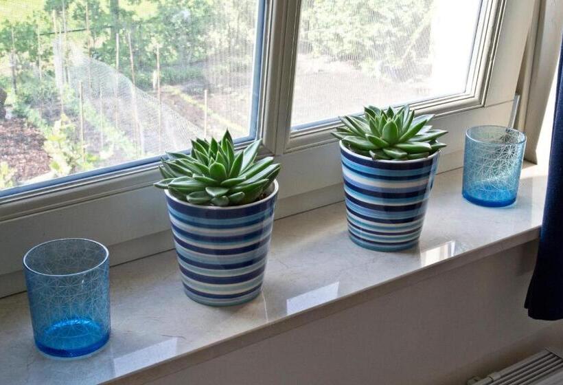 חדר סופריור, Bed & Breakfast Maryland