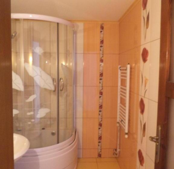 Economy-huone, Camere De Inchiriat  Spicului