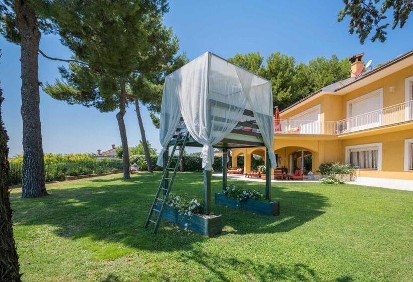 Deluxe Suite Sea View, Tra Gli Alberi E Il Mare