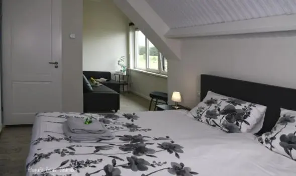 キングサイズベッドのスタンダードルーム, B&b Hof  T Sprakel