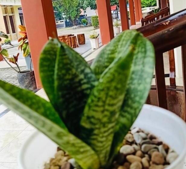 Familjerum, Ahlen Pangandaran