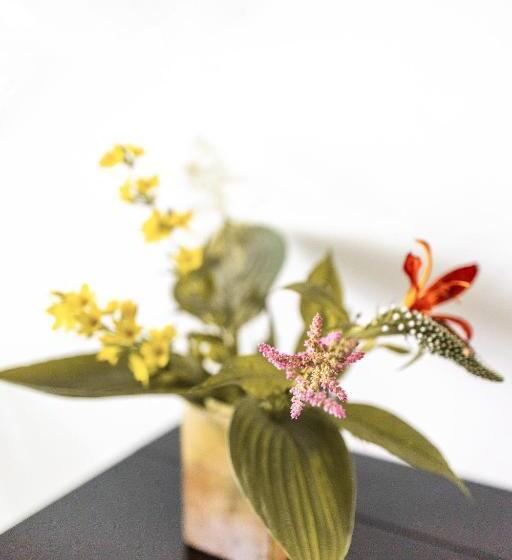 اتاق لوکس, Avellano