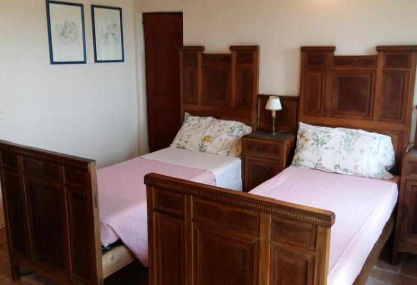 דירה בת חדר שינה 1 עם נוף, Locanda San Francesco