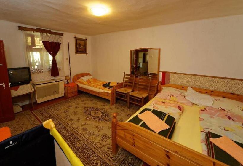 חדר סטנדרט לארבעה, Pataky Borporta