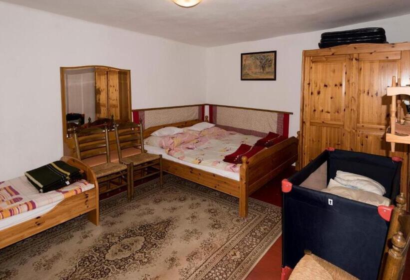 חדר סטנדרט לארבעה, Pataky Borporta