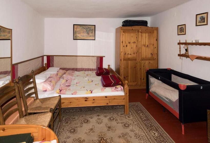 חדר סטנדרט לארבעה, Pataky Borporta