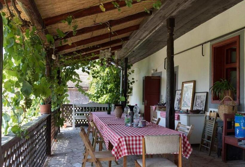 חדר סטנדרט לארבעה, Pataky Borporta