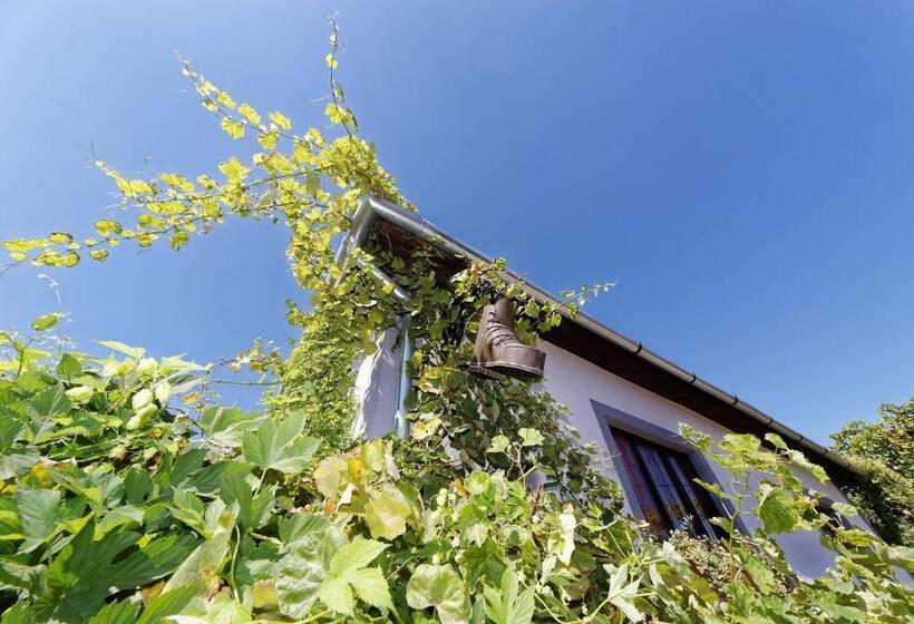 חדר סטנדרטי לארבעה עם חדר אמבטיה משותף, Pataky Borporta