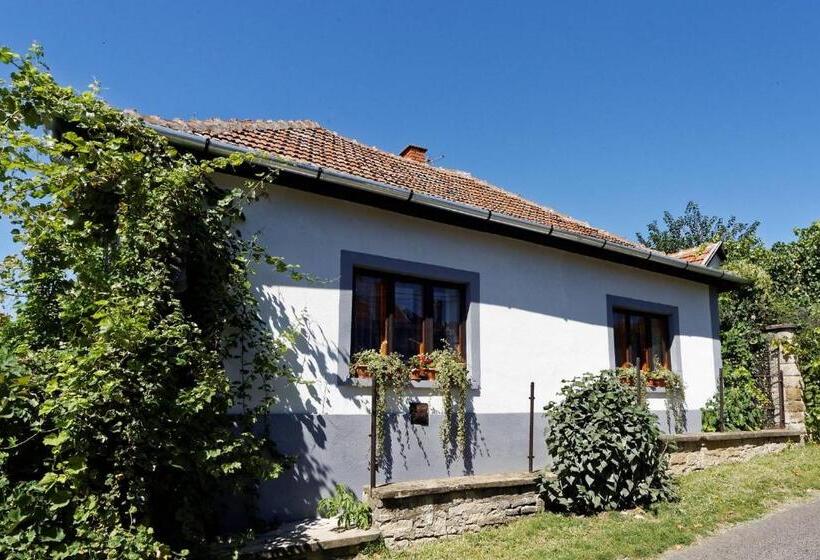 חדר סטנדרטי לארבעה עם חדר אמבטיה משותף, Pataky Borporta