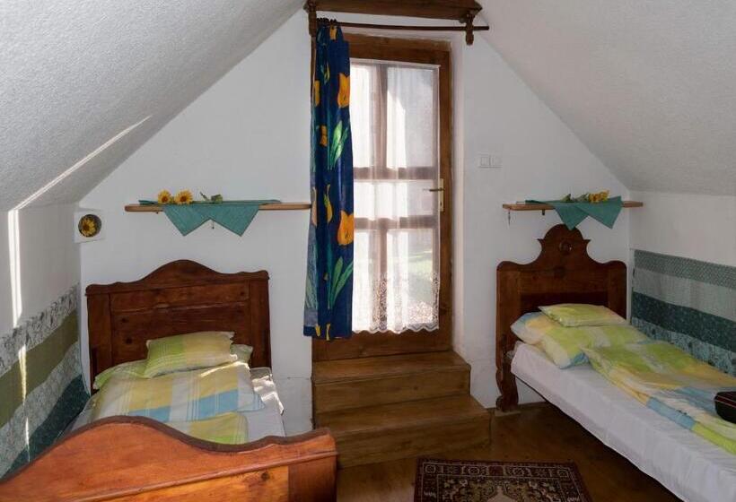 חדר בסיסי, Pataky Borporta