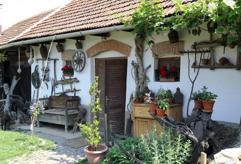 חדר דלוקס, Pataky Borporta