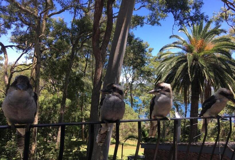 Стандартный Номер Кровать Кинг, Palm Beach Bed & Breakfast