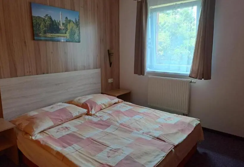 اتاق استاندارد با تخت بزرگ برای معلولان, Penzion Moravská Oáza