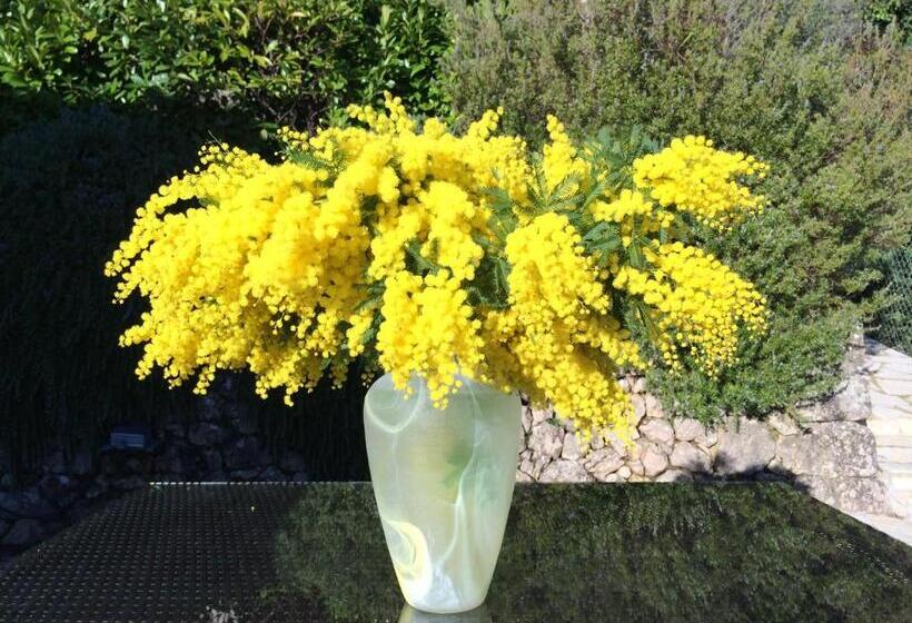 غرفة قياسية, Villa Des Oliviers