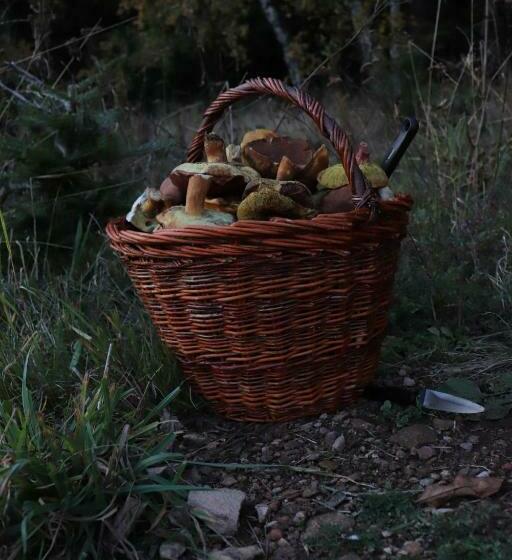 침실 3개 아파트, Roubenka Elisabeth