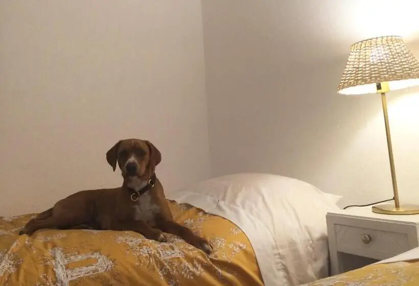 ルームシェアのワンベッド, Inn Golegã