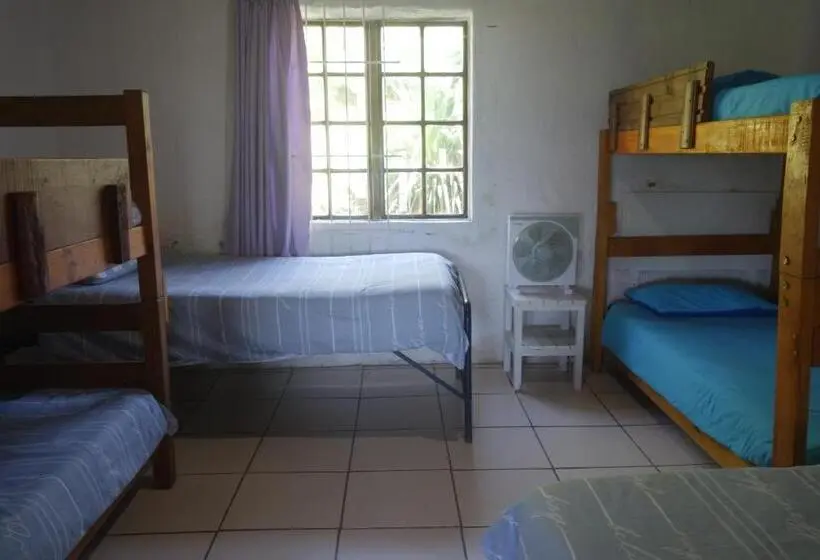 スタンダードバンガロー, Eagles Nest Hostel Plus Self Catering Private Units