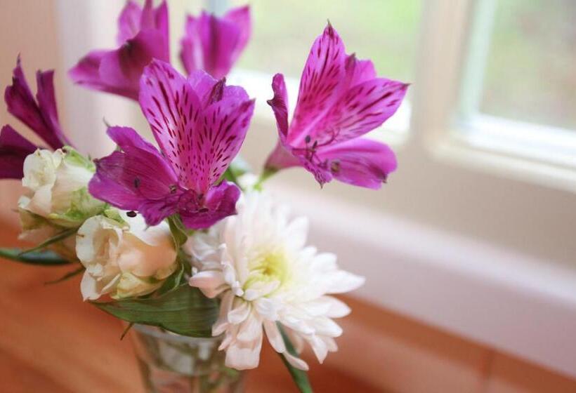 标准间, Abbey Farm Glamping & Cottage