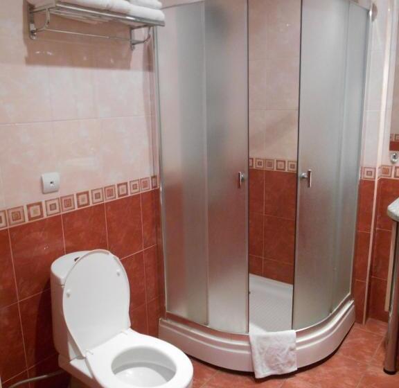 싱글 디럭스 룸, Armenian Royal Palace