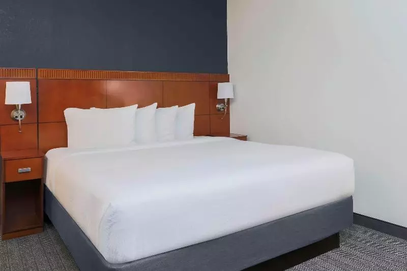 اتاق استاندارد با تخت بزرگ, Courtyard Austin Airport