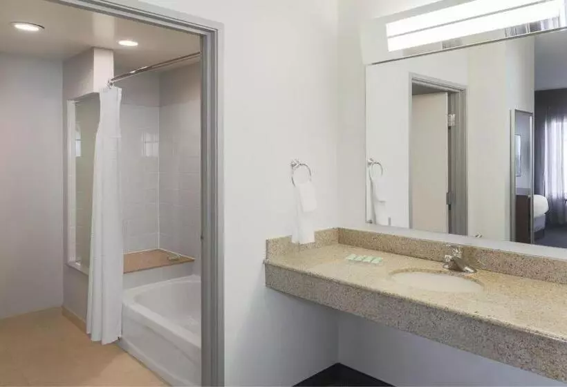 سوئیت با تخت بزرگ, Courtyard Austin Airport