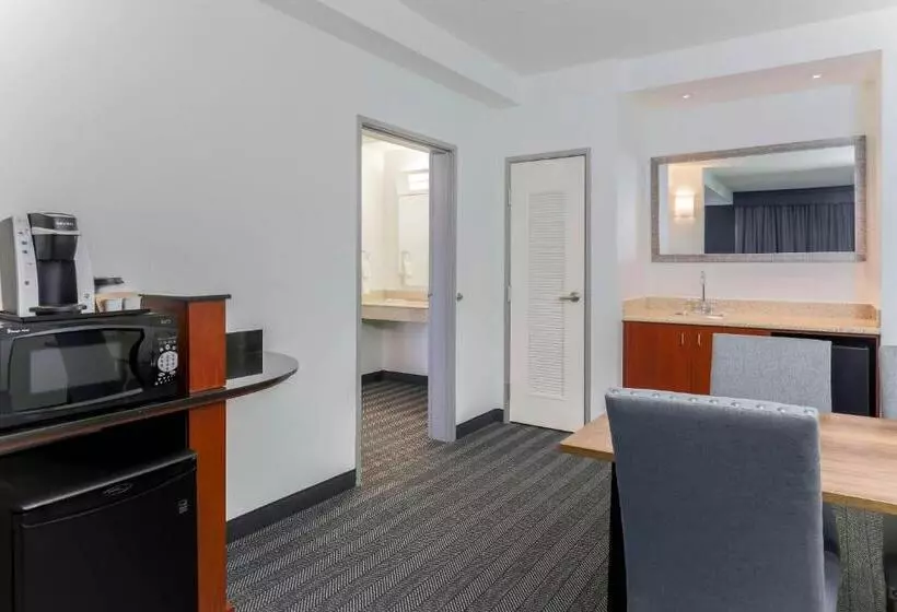 سوئیت با تخت بزرگ, Courtyard Austin Airport