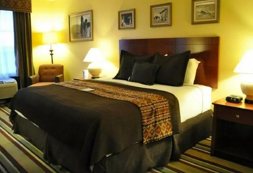 キングサイズベッドのスタンダードルーム, Moenkopi Legacy Inn & Suites