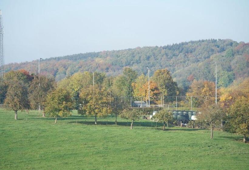 标准房带园景, B&b Joke De Groot