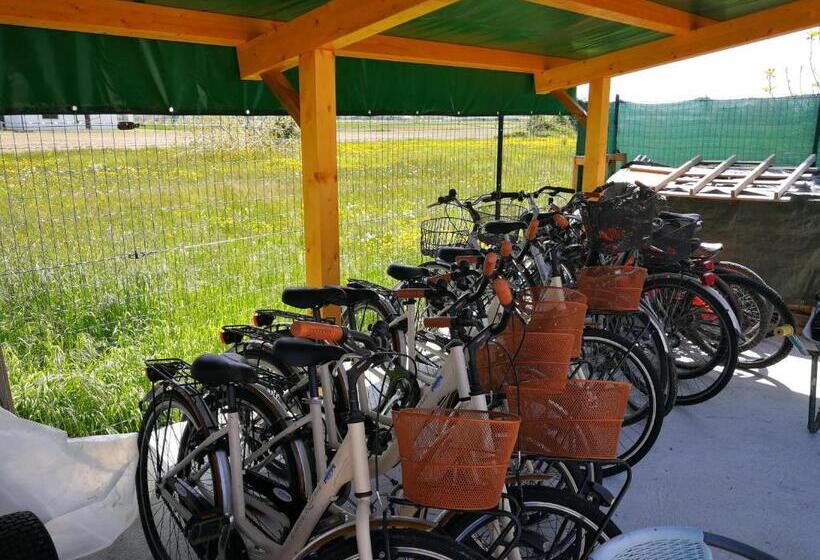 스탠다드 발코니 룸, Villa Roma Holidays