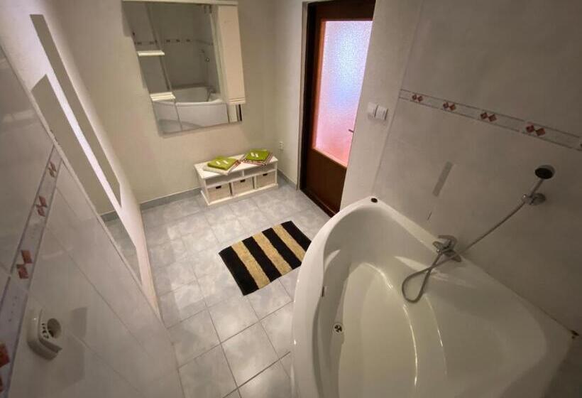 جناح مزود بتراس, Felicia