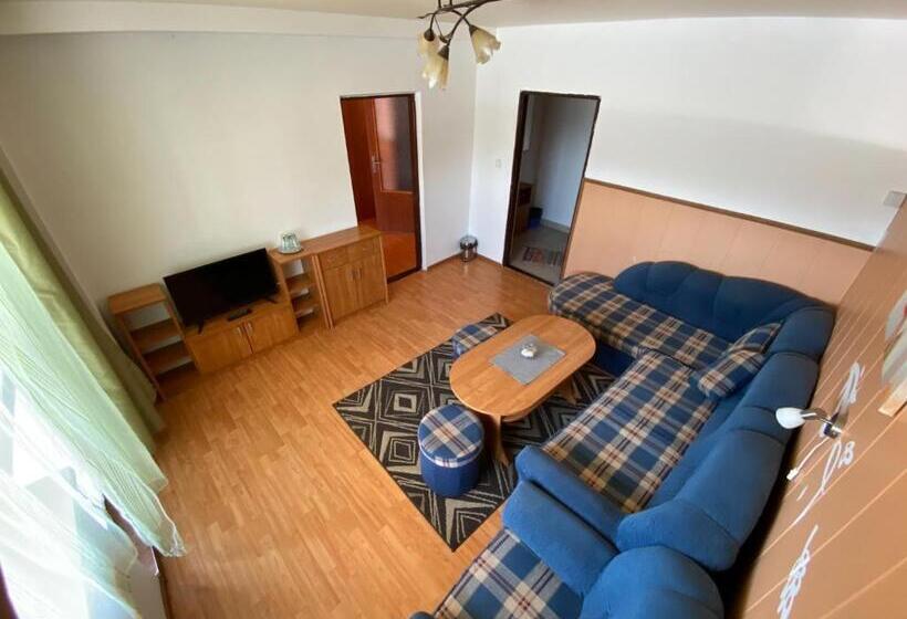 جناح مزود بتراس, Felicia