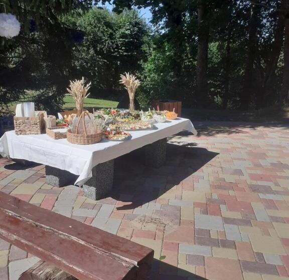 خانه 1 خوابه, Viesu Nams Mevidi