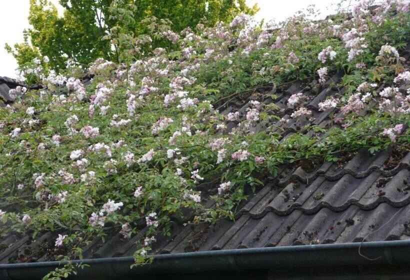 חדר סטנדרט נוף לגינה, Selatuinen